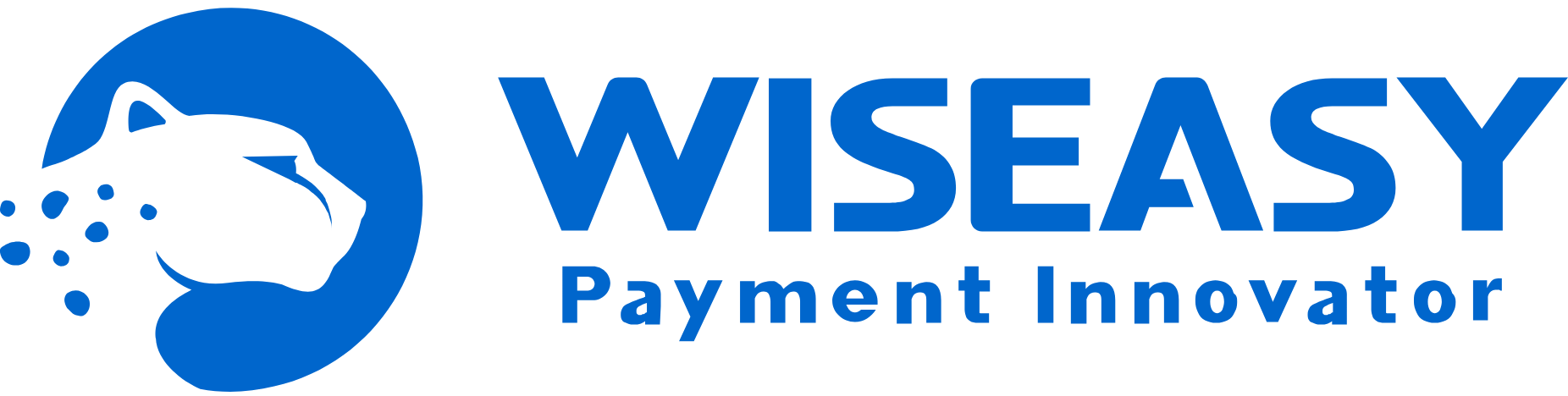 Wiseasy - Payment Innovator